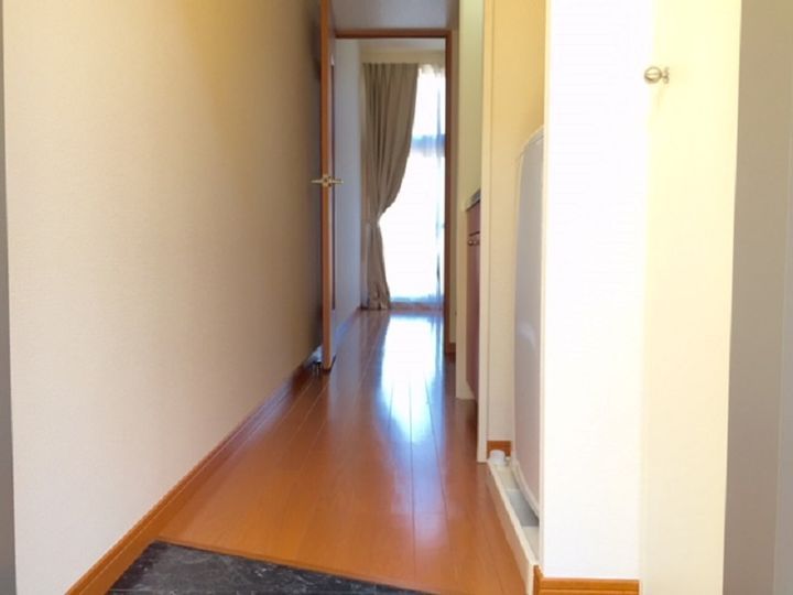 レオパレスAMOURⅡの玄関