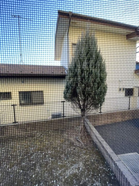 レオパレスクランベリーのその他画像