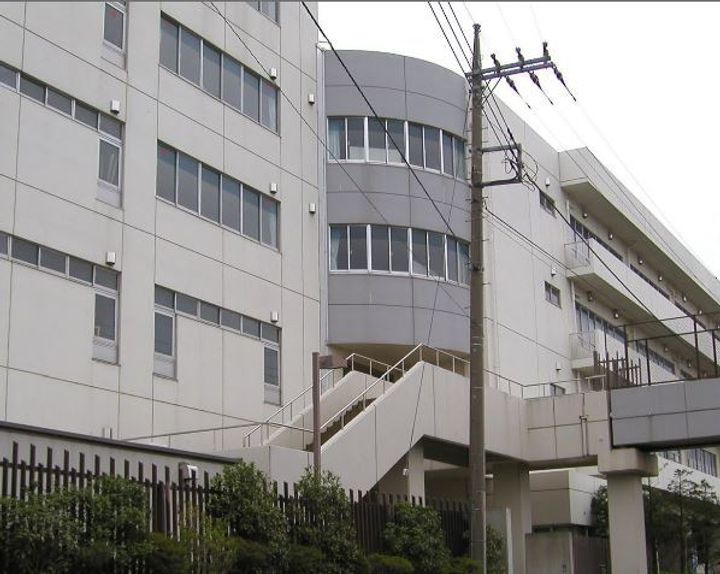 プリティーマーメイドの周辺