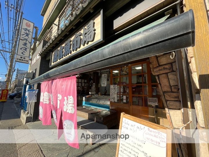 神奈川県鎌倉市腰越(一戸建)の賃貸物件の周辺