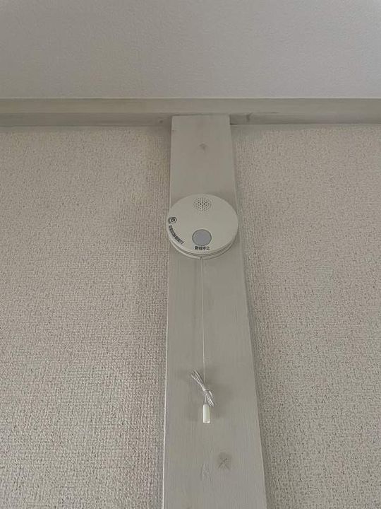 利休のその他画像