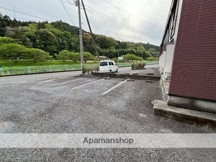 カワセミのその他画像