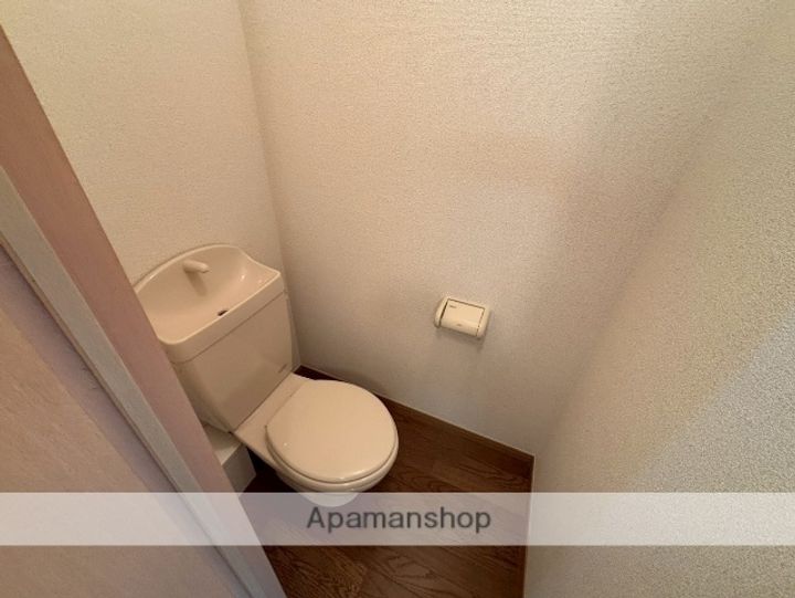 カワセミのその他画像