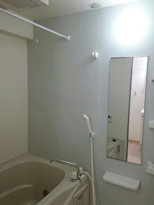 レポサール弥勒寺308の風呂