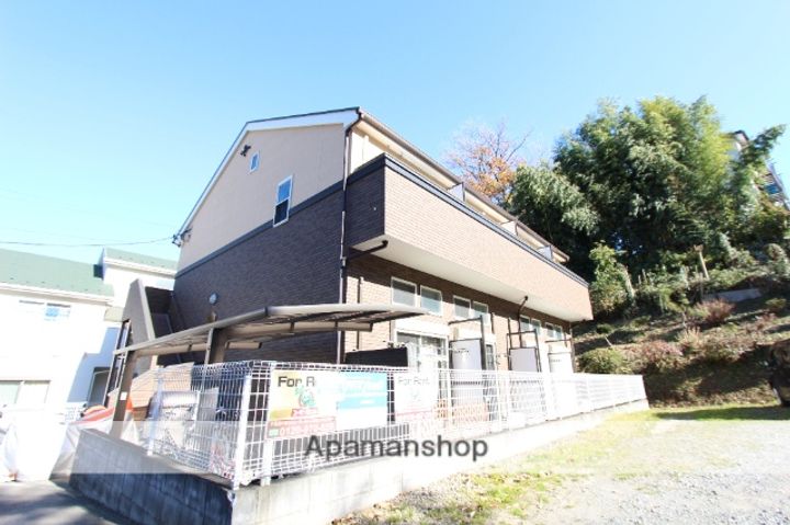 POPOLAREのその他画像