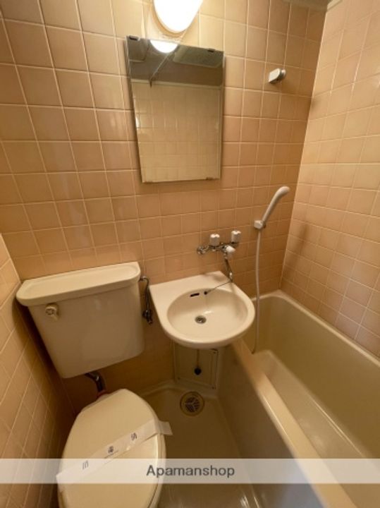 ライオンズマンション平塚明石町のその他画像