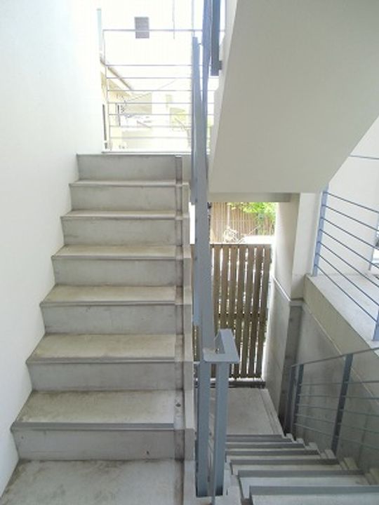 PRIMROSEのその他画像