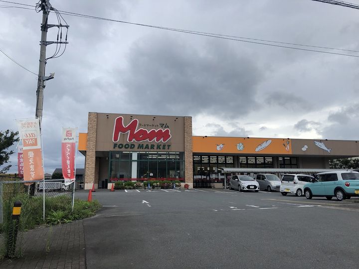 レオパレスアベニューの周辺