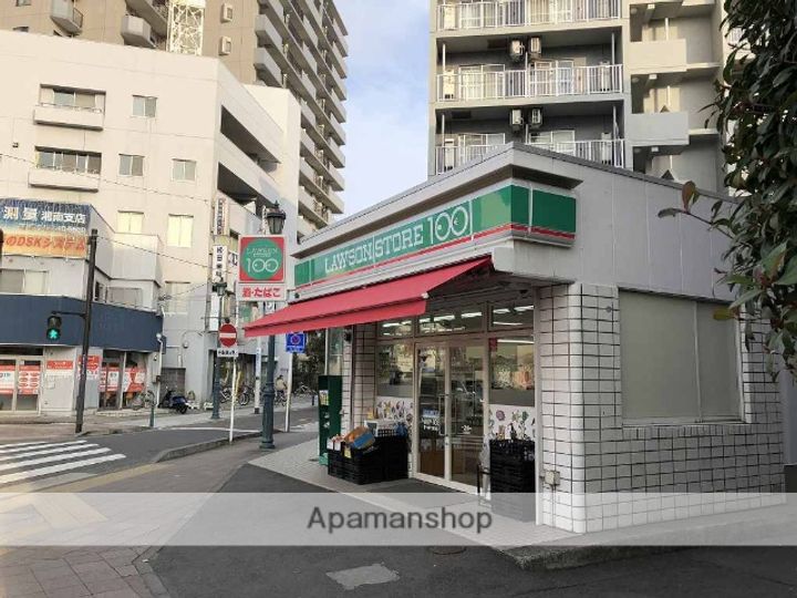ドミール湘南の周辺