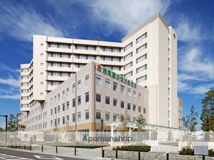 イデアル湘南の周辺