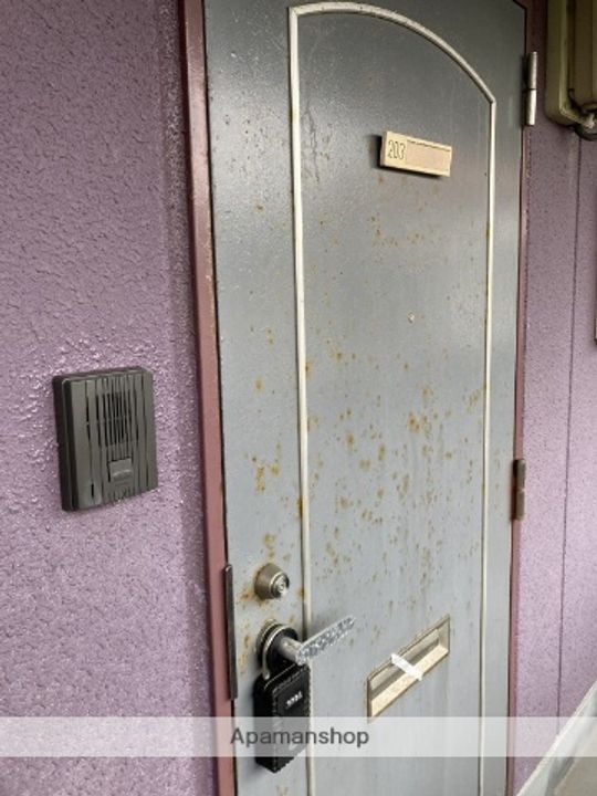 パフィオのその他画像