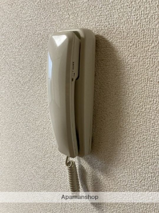 パフィオのその他画像