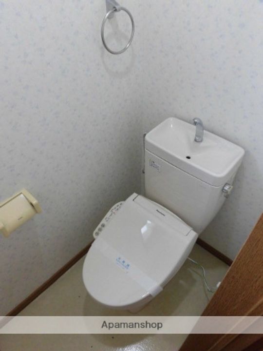 ピジョンBのその他画像