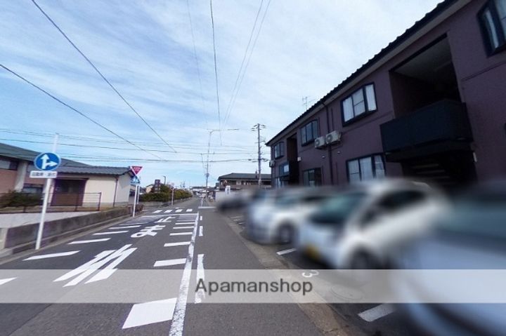 パインテイルのその他画像