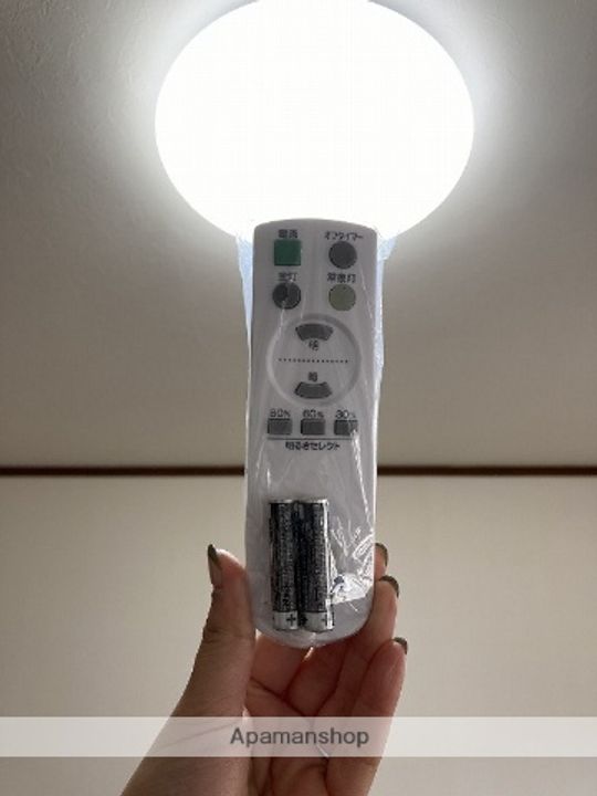 パインテイルのその他画像