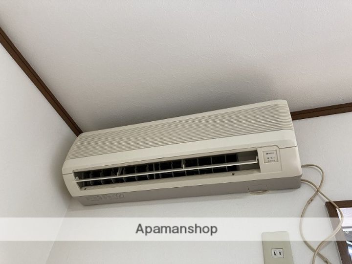 パインテイルのその他画像