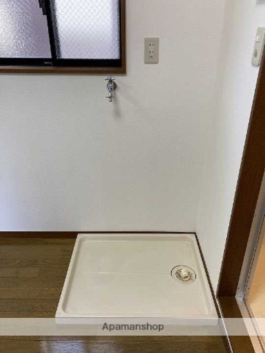 パインテイルのその他画像