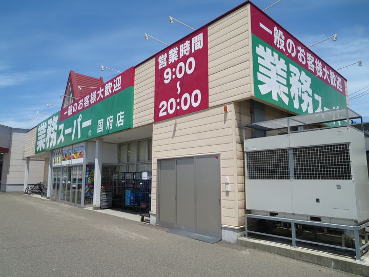 レオパレスグリーンパーク国府103の周辺