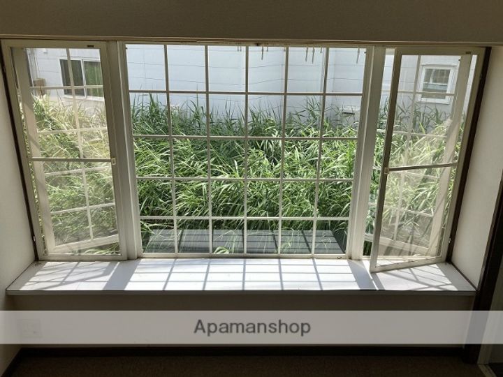 ベルディーのその他画像