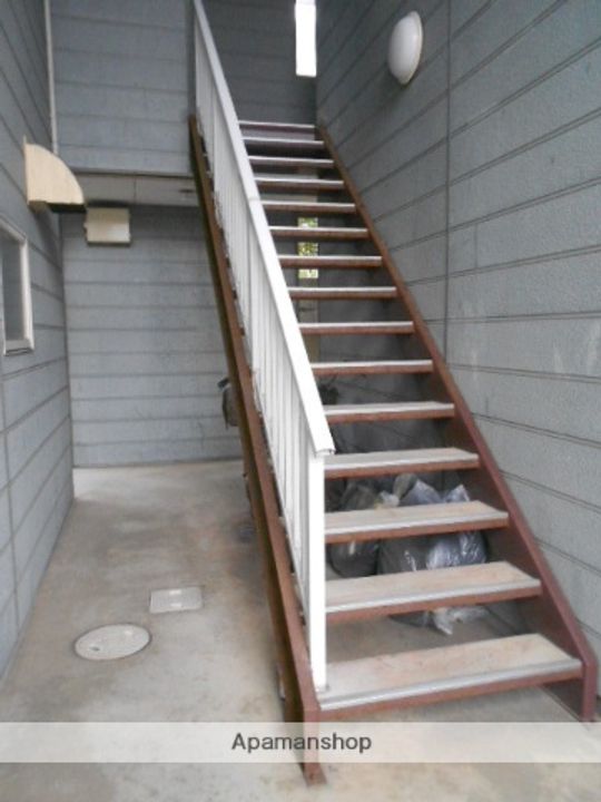 ヒルズスキャットの外観