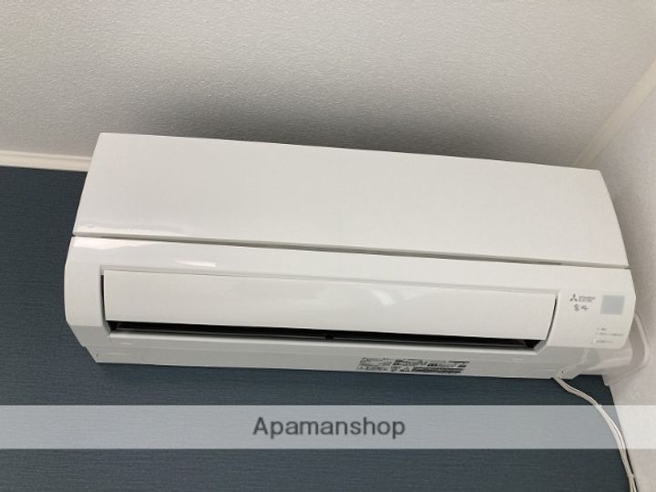 MAISON SONA(メゾン ソナ)202の内装