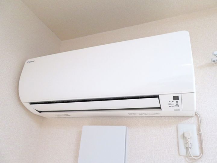 パレッティのその他画像