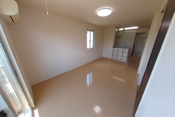 ステラのその他画像