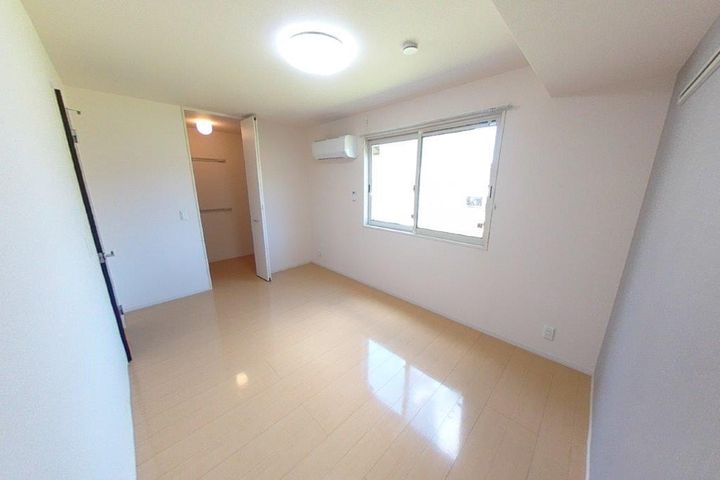 ステラのその他画像