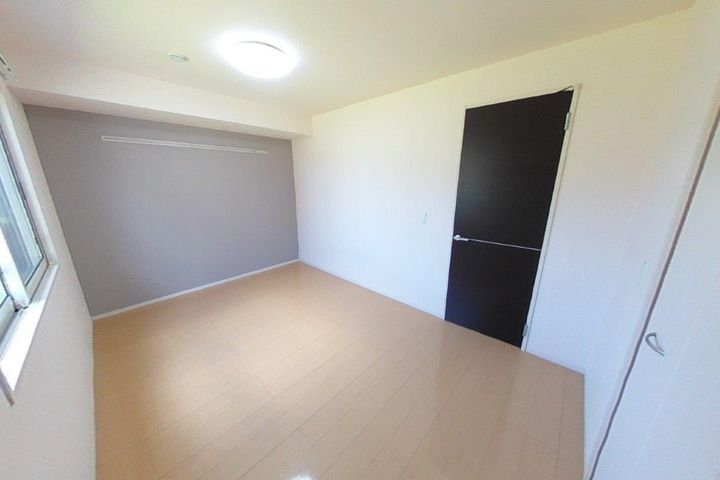 ステラのその他画像