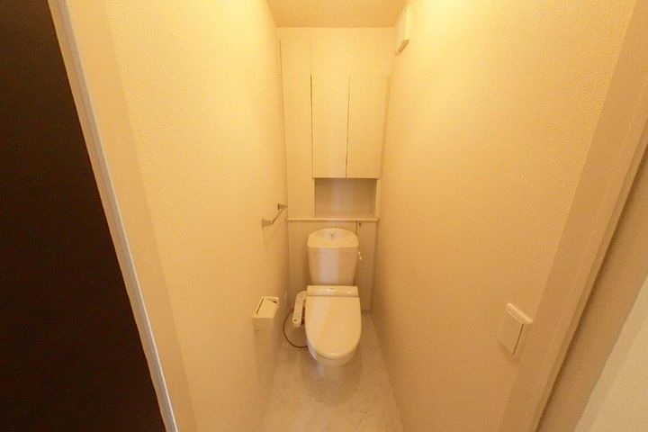 ステラのその他画像