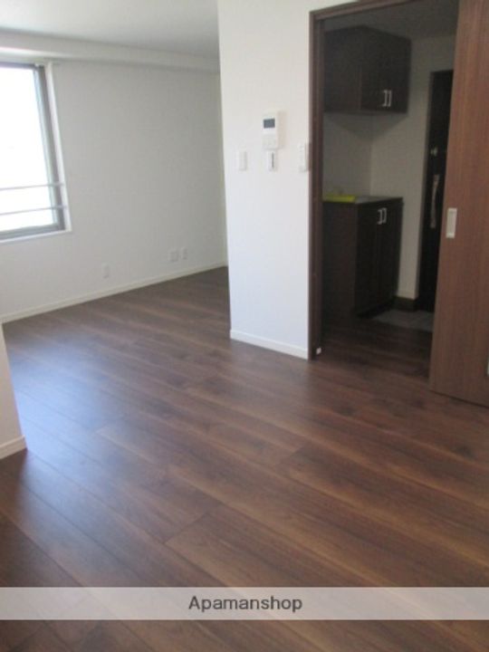 富山県富山市丸の内2丁目の賃貸マンションの居間