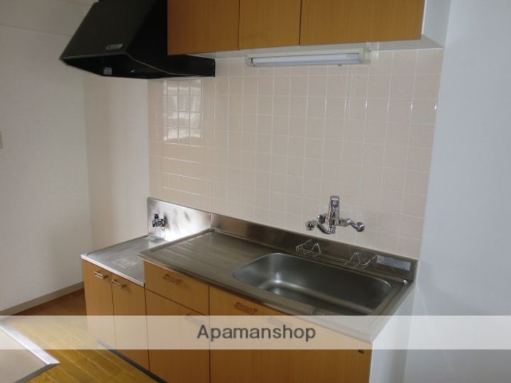 富山県富山市婦中町砂子田の賃貸マンションのキッチン