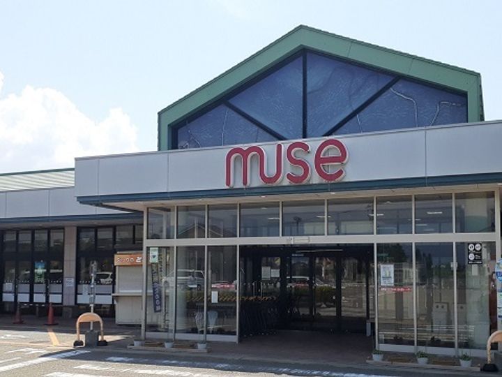 サニーの周辺