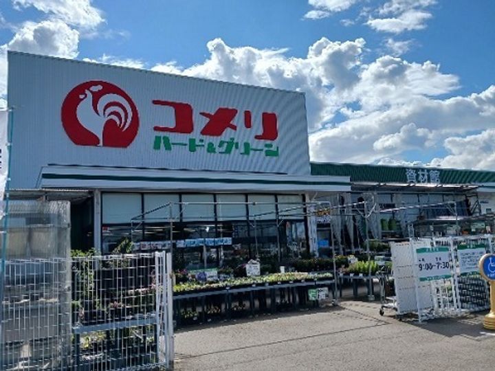サニーの周辺