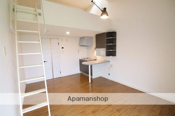 モア・アペックス木津南星町205の内装