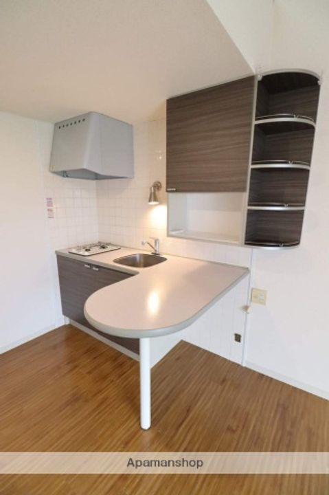 モア・アペックス木津南星町205の内装