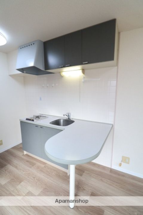 モア・アペックス美原町101のキッチン