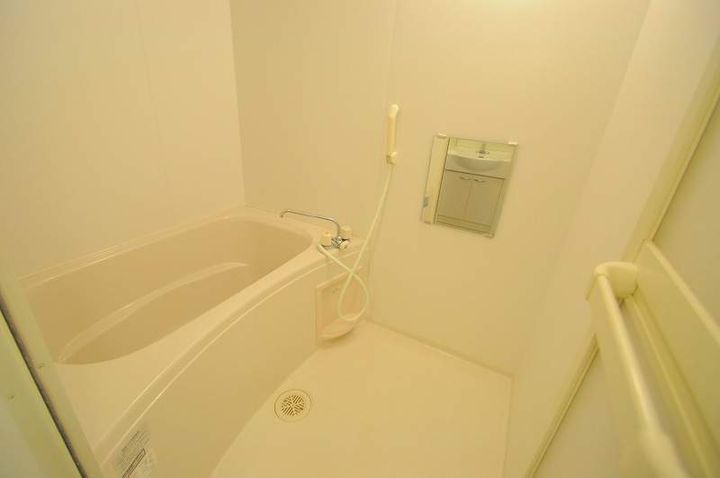 レオネクストグリーンパーク姫野106の風呂