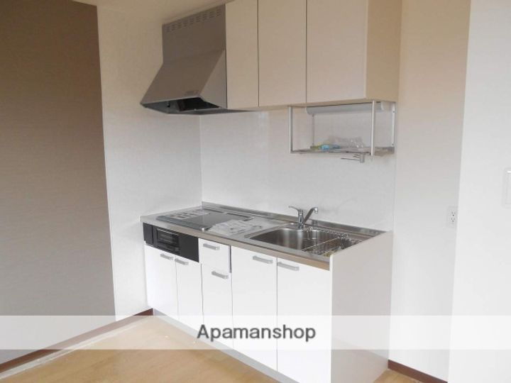 富山県砺波市太郎丸の賃貸アパート206のキッチン