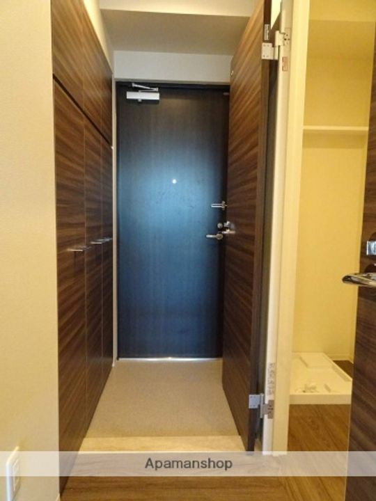 ファースト・レーベン大手町ANNEX801の玄関