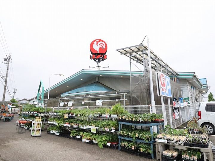 カーサ・フィオーレS棟の周辺