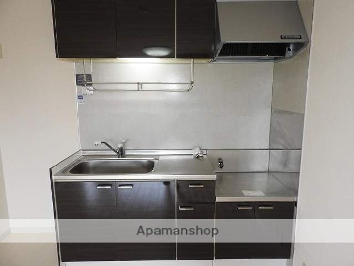 フレグランス上小泉東館のキッチン