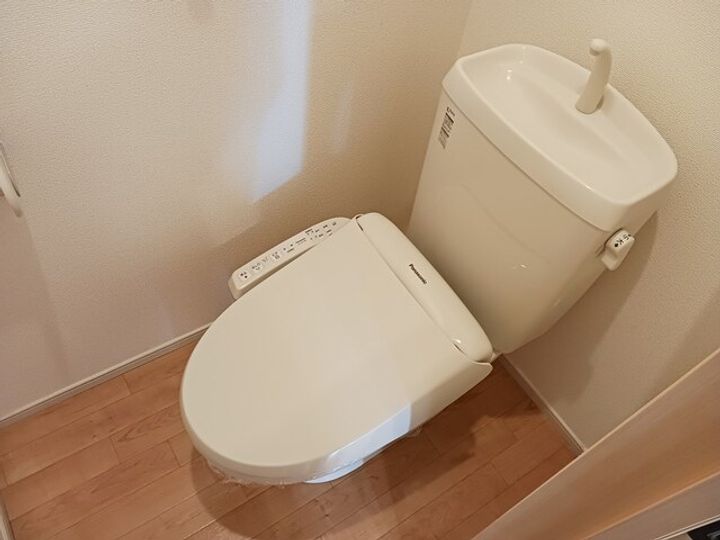 チューリップ・12のその他画像