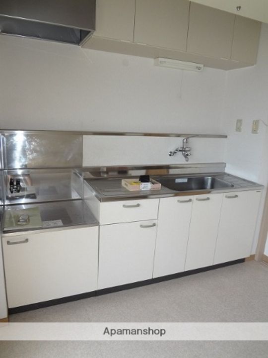 秀メゾン B棟202のキッチン