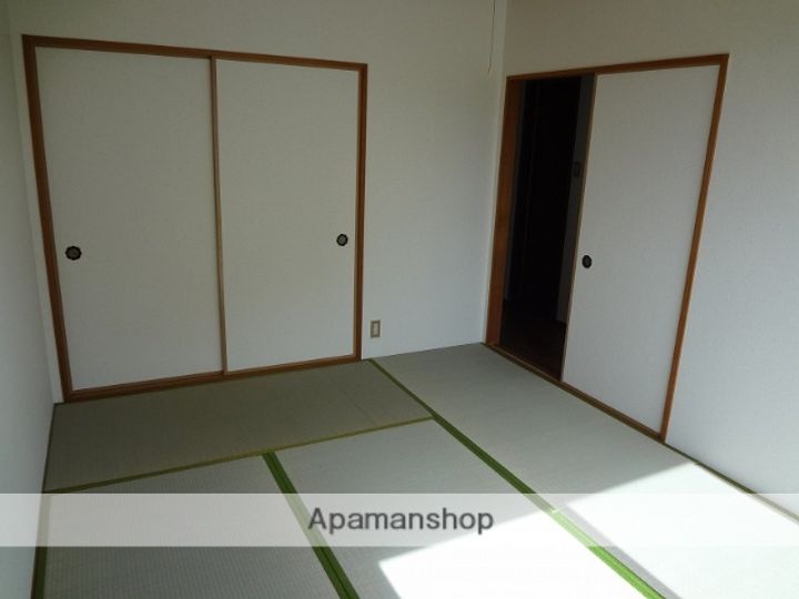 SHAMROCKE101のその他画像