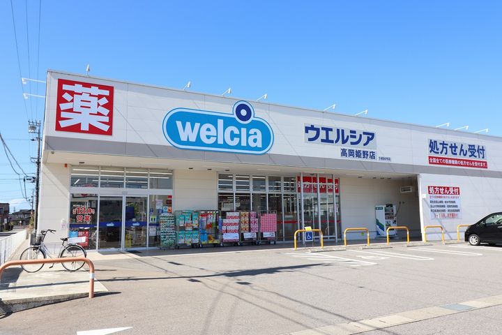 レオネクストグリーンパーク姫野102の周辺