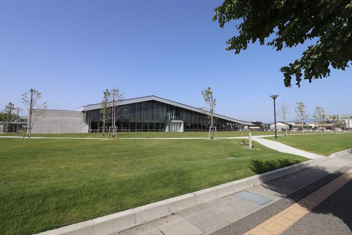 コッカー・スパニエルの周辺