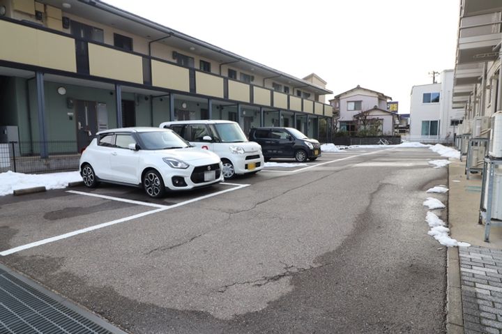 コッカー・スパニエルのその他画像