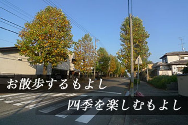 ロイヤルハイツ松ヶ丘201の外観
