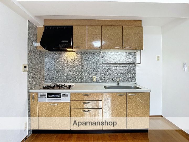 ロイヤルパークプレジデント502のキッチン